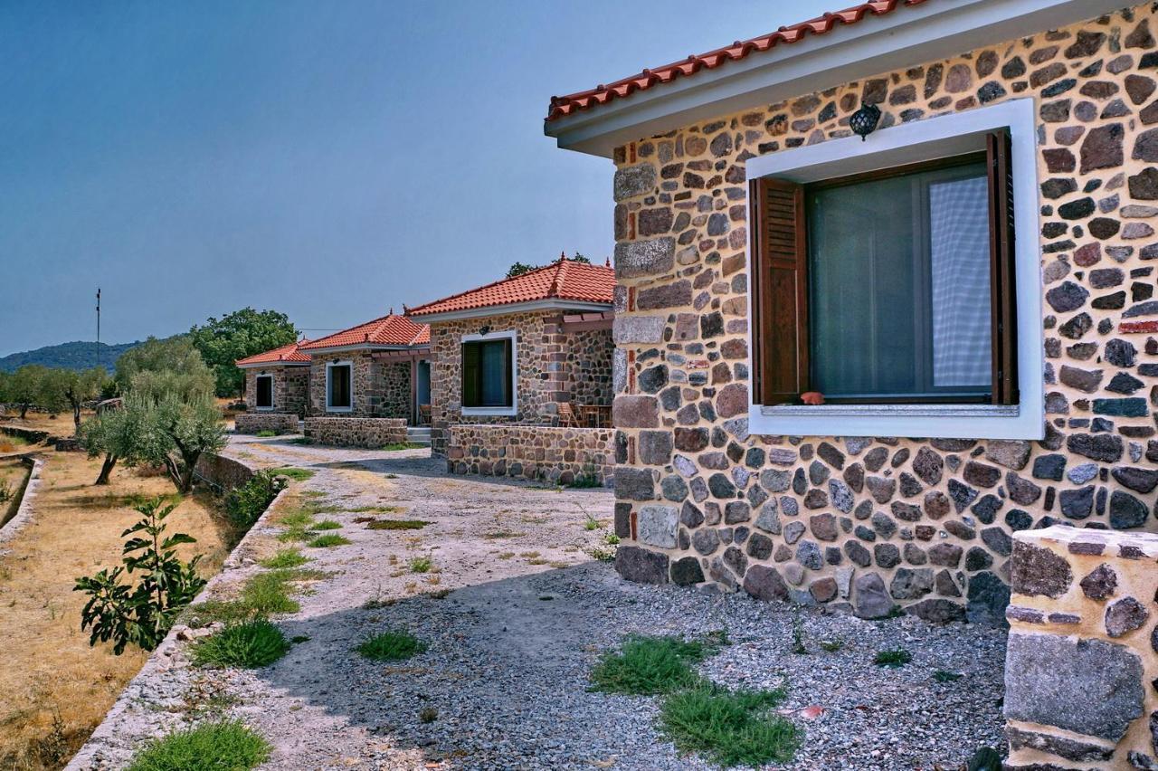 Villa Ktima Kiourelioti Skala Sykamineas Exterior foto