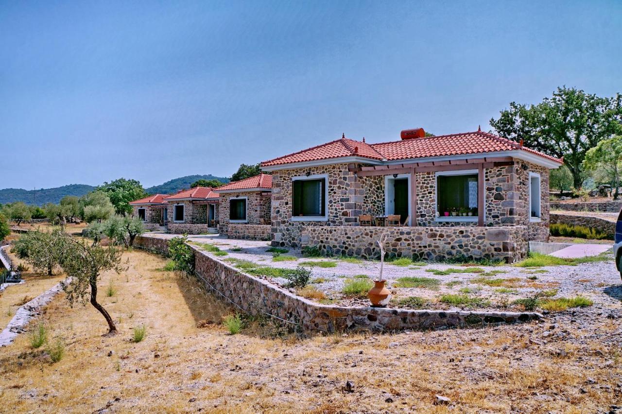 Villa Ktima Kiourelioti Skala Sykamineas Exterior foto
