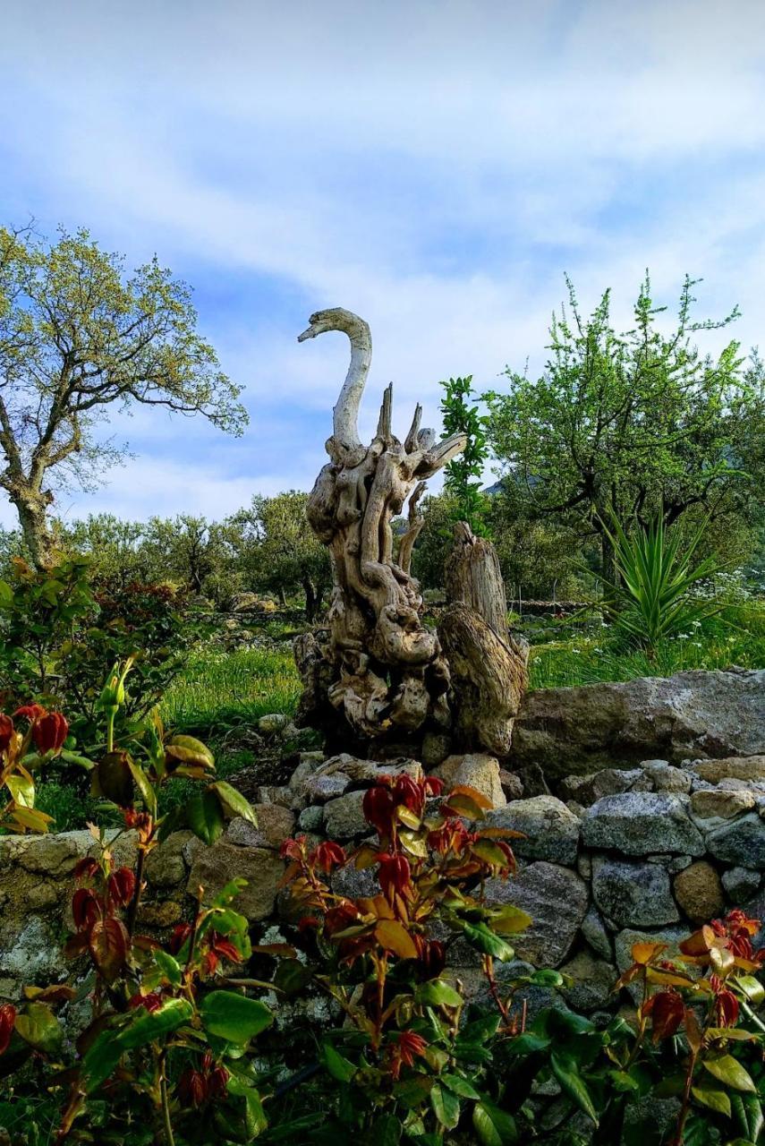 Villa Ktima Kiourelioti Skala Sykamineas Exterior foto